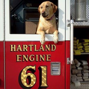 Meet your Posher, Matt